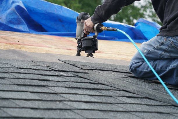 Best Metal Roofing Contractor  in Bay Minette, AL
